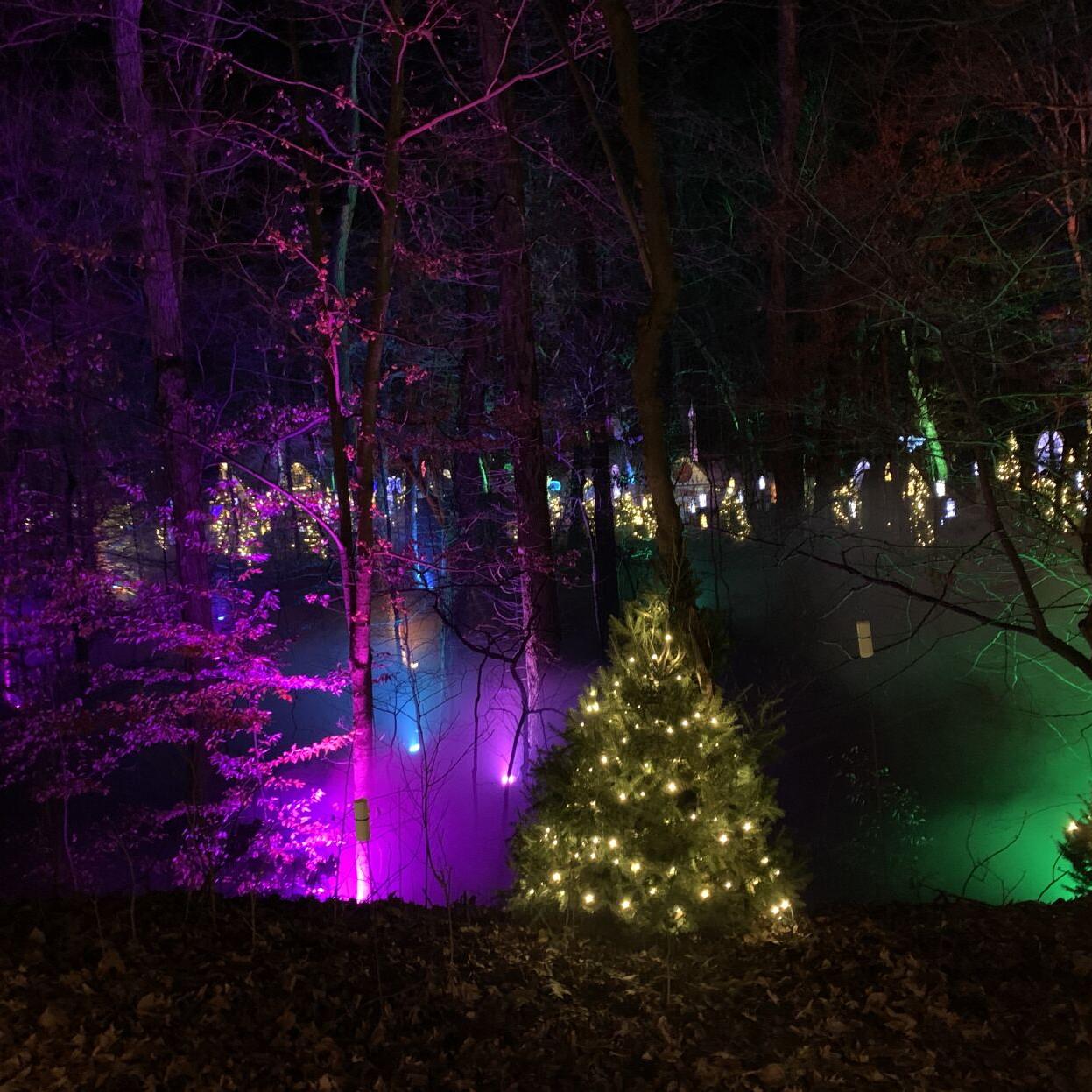 Winter Woods Spectacular (16).JPG